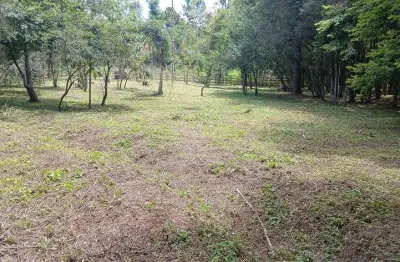 Terreno à venda na Rua Marli Piekarski, 100, Centro, Fernandes Pinheiro