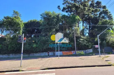 Excelente terreno na av paraná, no santa cândida, uma chácara urbana