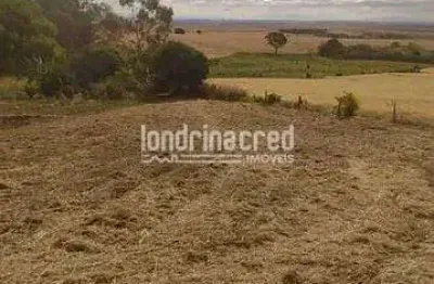 Terreno à venda no Warta, Londrina 