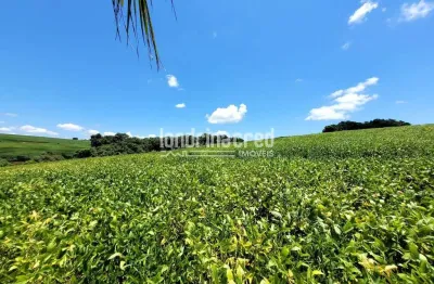 Chácara / sítio à venda no Warta, Londrina 