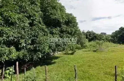 Terreno à venda 2000m², condomínio vale do arvoredo, londrina - pr