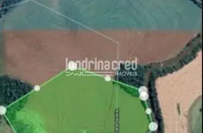 Chácara à venda zona rural, são pedro do iguaçu - pr