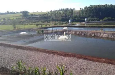 Chácara / sítio à venda na Zona Rural, Nova Santa Rosa 