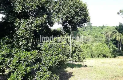 Terreno à venda 5000m², parque jamaica, londrina - pr