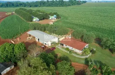 Chácara à venda zona rural, são miguel do iguaçu - pr