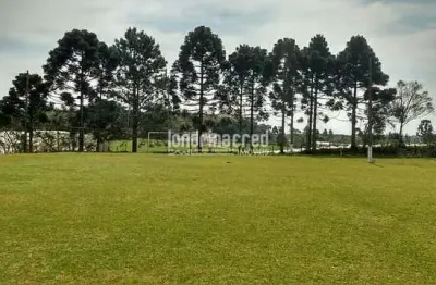 Chácara à venda 20000m², zona rural, são josé dos pinhais - pr
