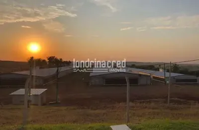 Chácara / sítio à venda no Centro, Alvorada do Sul 