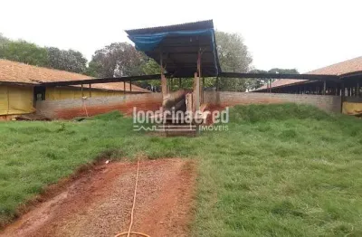 Chácara / sítio à venda na Área Rural de Toledo, Toledo 