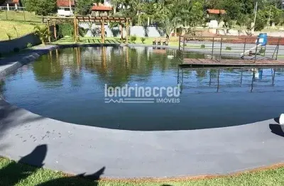 Chácara à venda 4210m², gleba ribeirão sarandi, maringá - pr | condomínio estância zaúna