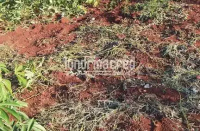 Terreno à venda no Jardim Barcelona, Londrina 