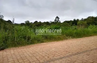 Terreno à venda na Zona Rural, São José dos Pinhais 