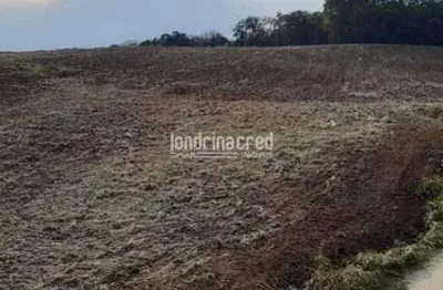 Terreno à venda na Zona Rural, Rio Azul 