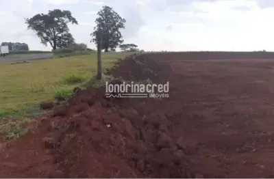 Terreno à venda no Centro, Arapongas 