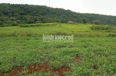 Chácara à venda 4 quartos, 133100m², zona rural, tamarana - pr