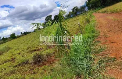 Chácara / sítio à venda na Zona Rural, Ibiporã 