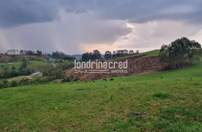 Chácara / sítio à venda no Áreal Rural de Castro, Castro 