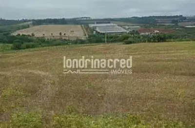 Chácara à venda 24200m², zona rural, apucarana - pr