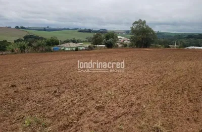 Chácara / sítio à venda no Centro, Faxinal 