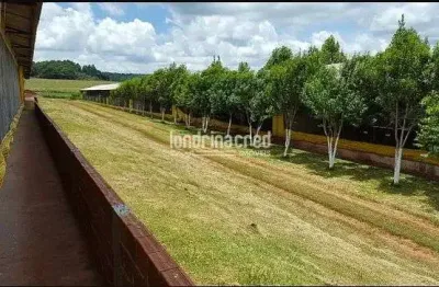 Chácara à venda 242000m², zona rural, ouro verde do oeste - pr