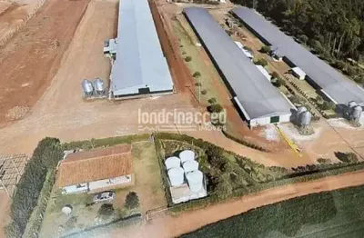 Chácara / sítio à venda na Zona Rural, Roncador 