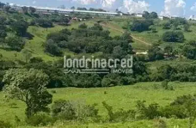 Chácara / sítio à venda na Zona Rural, Cornélio Procópio 