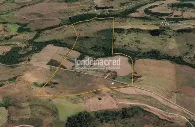 Terreno à venda na Zona Rural, Ribeirão do Pinhal 