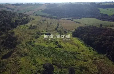 Chácara / sítio à venda na Zona Rural, Assaí 