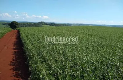 Terreno à venda na Zona Rural, Assaí 