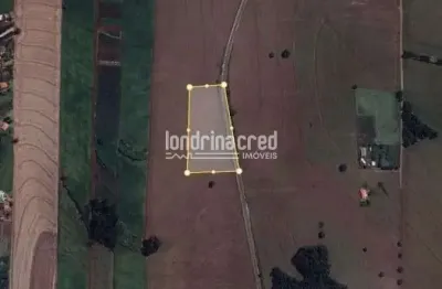 Chácara à venda, patrimônio regina, londrina, pr excelente terreno localizado na rodv. mabio gonçal