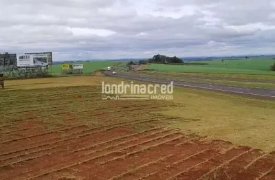 Excelente terreno 92mil metros quadrados, entre a cidade de rolândia e arapongas próximo a  grandes
