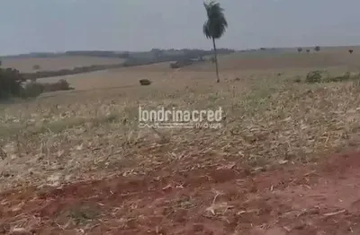 Excelente sítio em jaguapitã-pr: 13 alqueires de terra, ideal para loteamento, com 315.000m² de áre