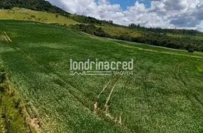 Excelente sítio em arapoti-pr: 169.400m² de área total para lazer, investimento ou agricultura