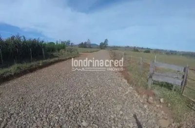 Excelente sítio localizado em santo antonio da platina.área total: 78.000m²