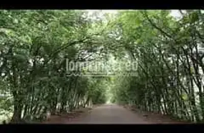 Chácara para venda 23040m², recanto santa andréa, cambé - pr