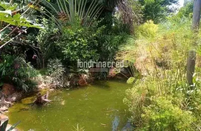 Chácara para venda 6000m², conjunto vivi xavier, londrina - pr