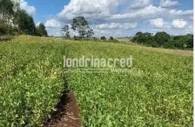 Sítio 2,5 alqueires em jataizinho, área 100% aproveitável para plantação, sem benfeitorias, solo fé