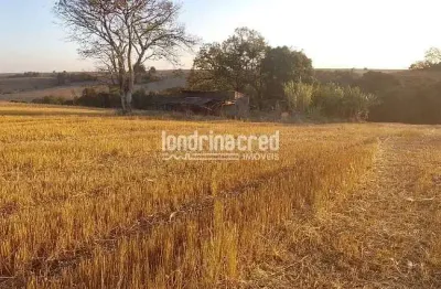 Vendo terreno de 40.000m² próximo a ibiporã – ótimo para investimento, loteamento, agricultura ou c