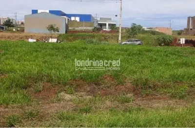 Terreno de 250 m² na zona leste de londrina – próximo à av. das laranjeiras, ideal para projetos re