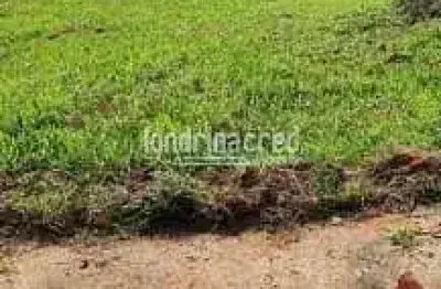 Terreno residencial de 250m² no jardim columbia d, próximo à uel, com fácil acesso à pr-445, excele