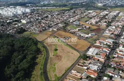 Oferta! 3 lotes no jardim maracá em londrina, prontos para construir. total de 819,89 m² por r$ 400