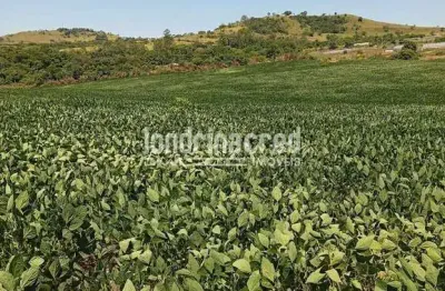 Sítio à venda em uraí-pr: 4 alqueires paulistas produtivos, arrendados e com renda garantida, próxi