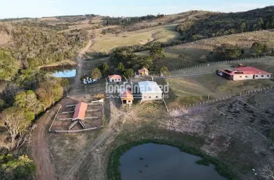Fazenda espetacular em são jerônimo/sapopema com 140,5 alqueires, sede de alto padrão, pecuária, eu