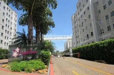Apartamento no spazio leopoldina, 2 dormitórios, andar alto, cozinha sob medida, vaga de garagem, p