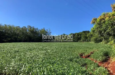 Terreno à venda no patrimônio selva – 26.000m² de área plana, ideal para chácara, lazer ou investim