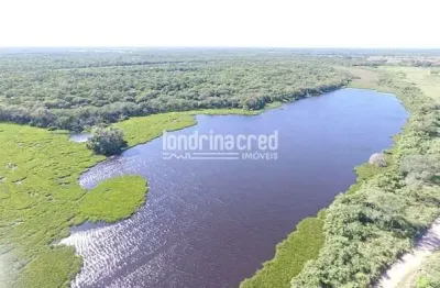 Fazenda San Justino no Chaco Paraguaio com valor de 900 dólares por hectare, totalizando 12.289 hec