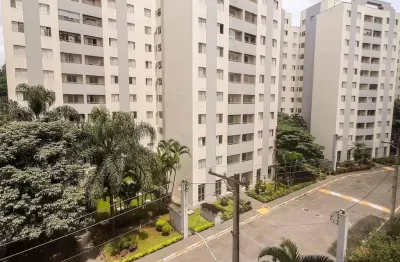 Apartamento belíssimo à venda no parque continental