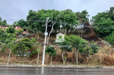 Terreno à venda na Estrada Francisco da Cruz Nunes, Pendotiba, Niterói