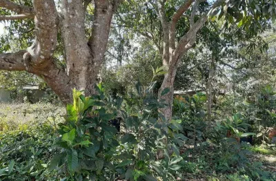 Terreno no rio vermelho,1500 m2, trilha p/a praia do moçambique