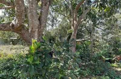 Terreno no rio vermelho,1500 m2, trilha p/a praia do moçambique