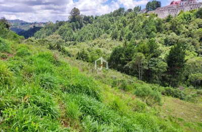 Terreno à venda no alto do capivari, campos do jordão  por r$ 1.200.000